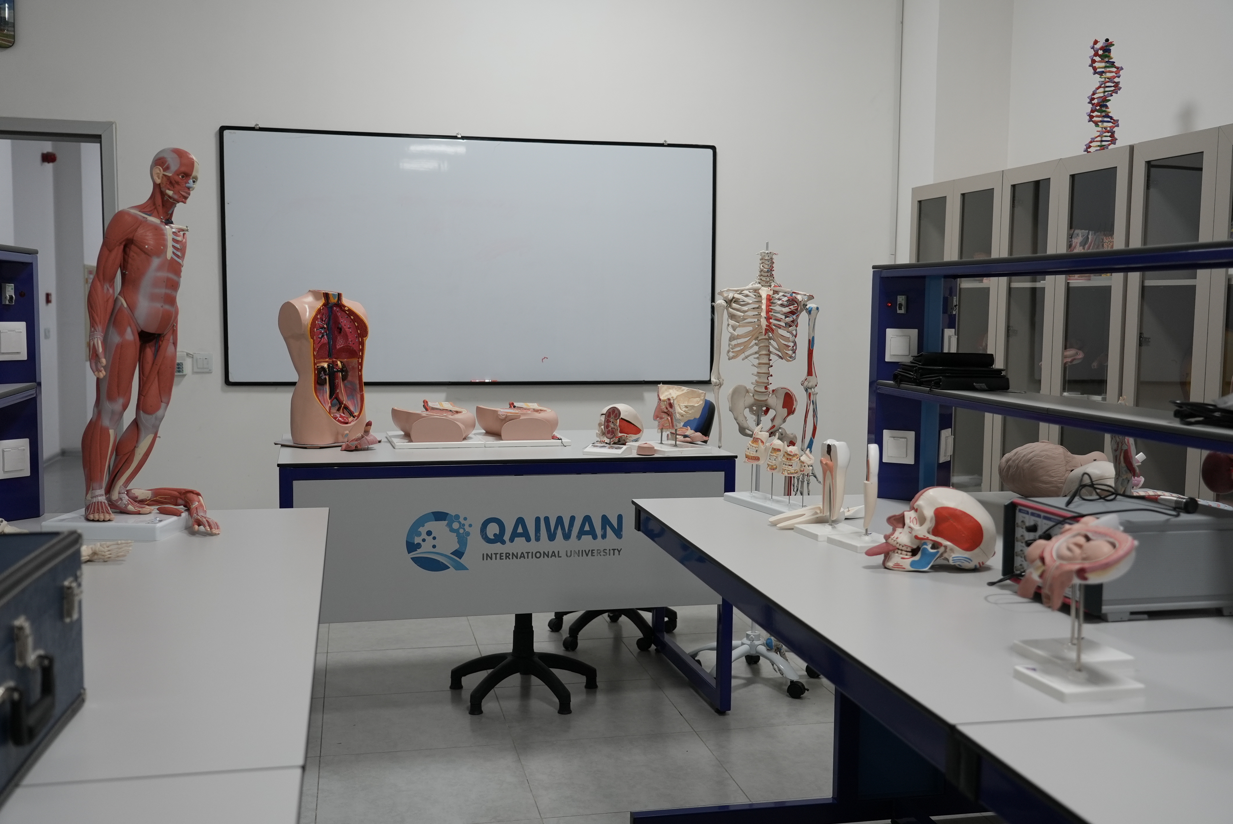 Anatomy Laboratory