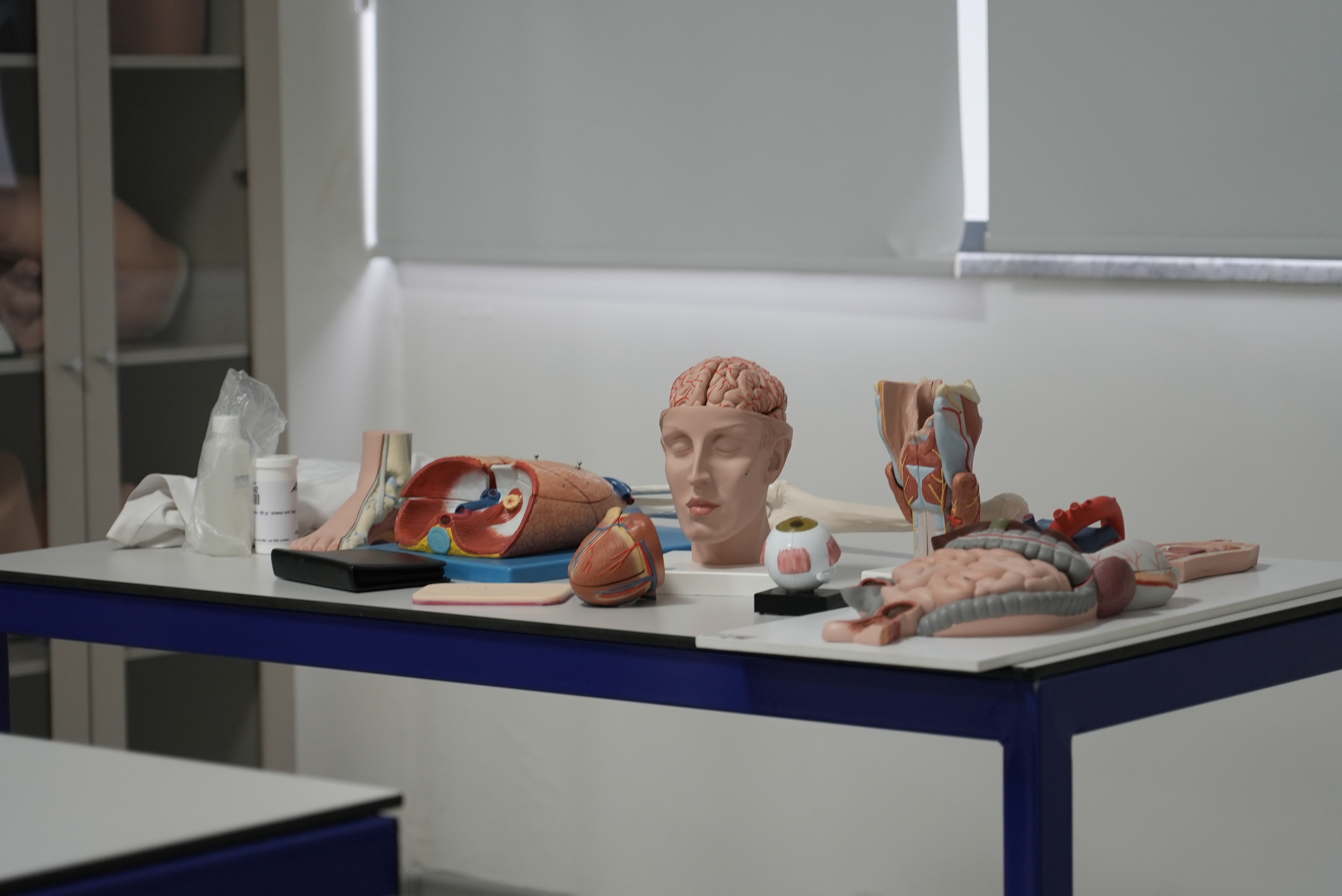 Anatomy Laboratory