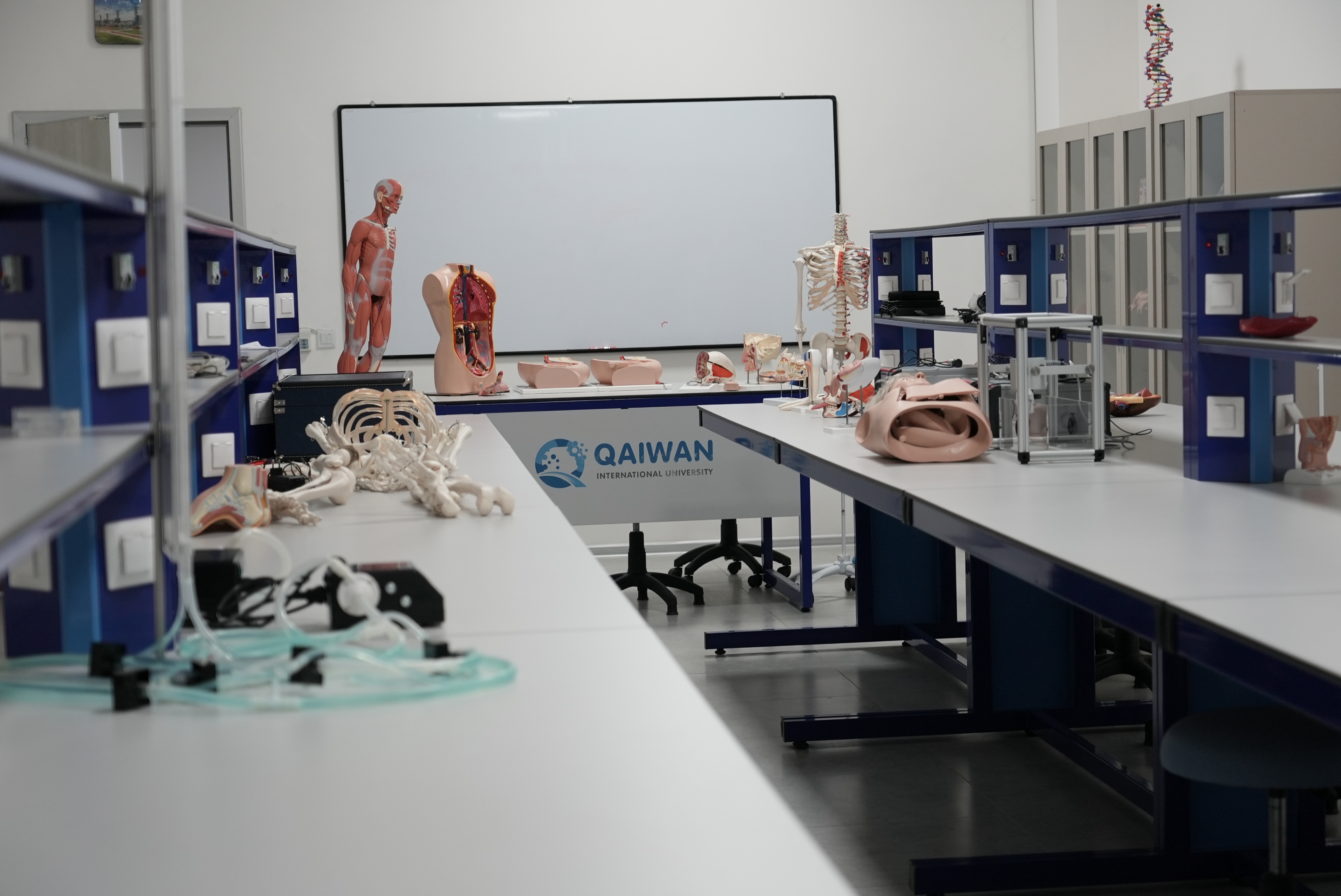Anatomy Laboratory